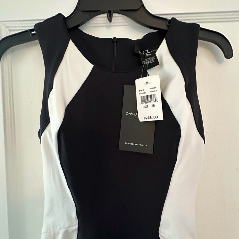 David Lerner Black and White Dress